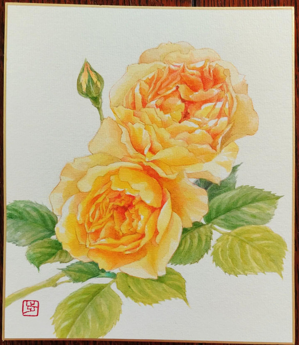 黄薔薇“グラハム・トーマス” 水彩画　色紙　原画 (中) 送料無料