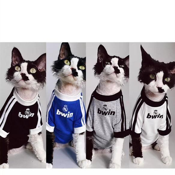 猫服 ペット服 ネコ 猫サッカーTシャツ 4色 涼しい 格好いい 薄手 スフィンクス猫 デボンレックス猫 ベスト 夏