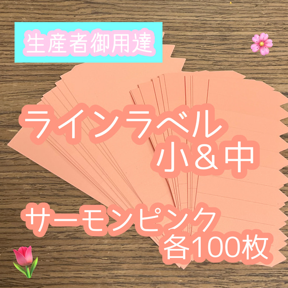 ラインラベル 小＆中セット 肌 各100枚 園芸カラー 多肉植物 エケベリア