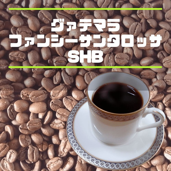 コーヒー豆　グァテマラ　ファンシーサンタロッサSHB 200ｇ　自家焙煎珈琲　中煎り 送料無料