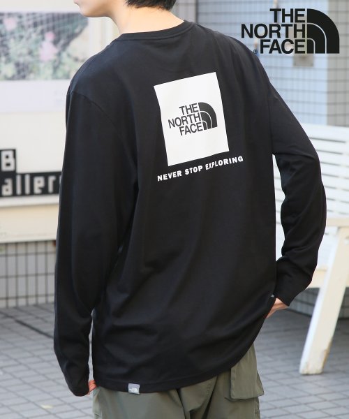 【THE NORTH FACE/ザノースフェイス】REDBOX L/S TEE NF0A493L ロンT 長袖 プリントT バックプリント ワンポイント