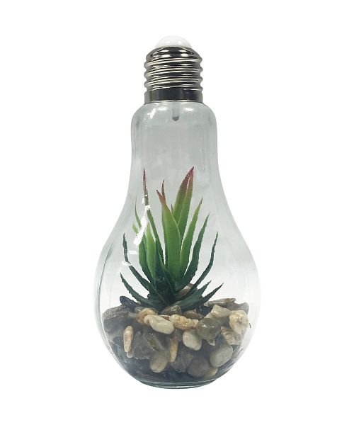 電球型インテリアライト Terrarium