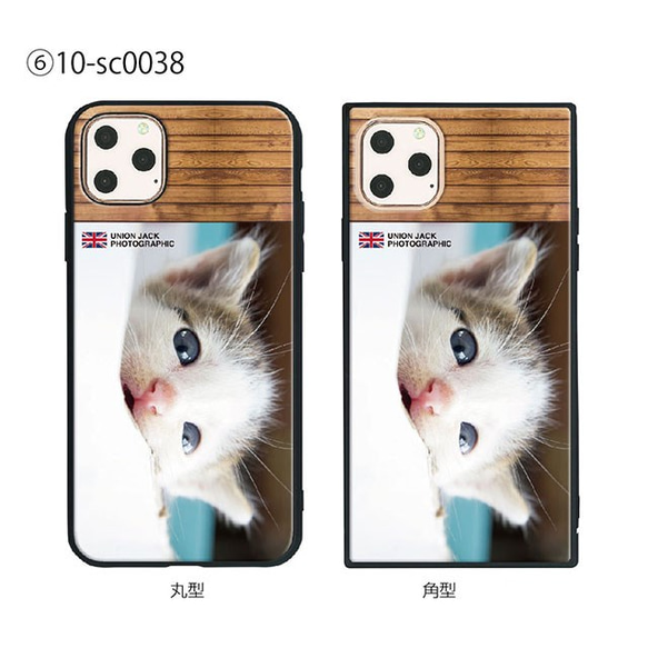 ガラス保護フィルム付 iPhone 11 Pro Max ケース 【CAT】