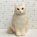 Lサイズ クリーム色 猫ちゃん オーダーサンプルページ