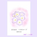 5月25日誕生花カード（花言葉つき）点描画