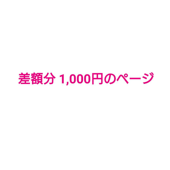 差額分 1,000円のページ