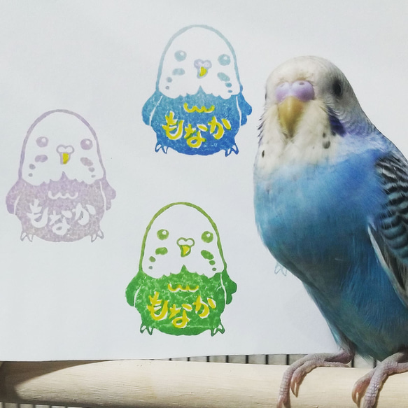 セキセイインコのお名前はんこ☆*°