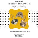 【フルオーダー 】うちモコぬいぐるみバッグチャーム