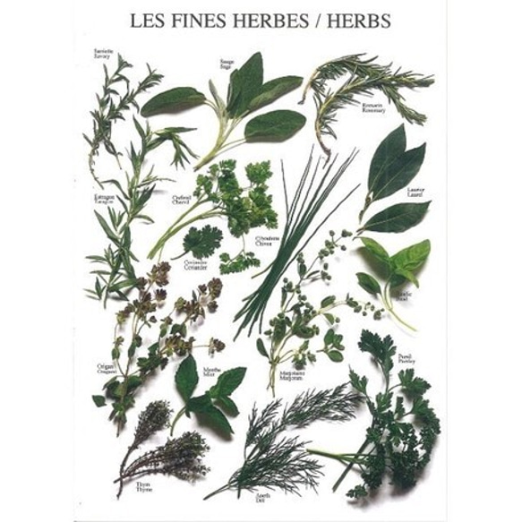 新柄入荷！フランスより♪『Herbs　フレッシュなハーブ　ポストカード』～ 同柄2枚セット～