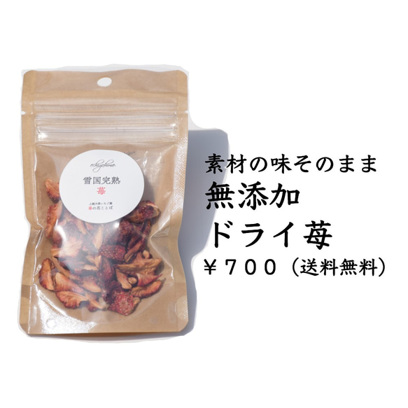 ドライ苺　越後姫　１５g  無添加無着色無香料　安心安全な定植後化学農薬不使用ドライフルーツ　いちご ※232