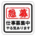 急募 仕事募集中 やる気あります カー マグネットステッカー