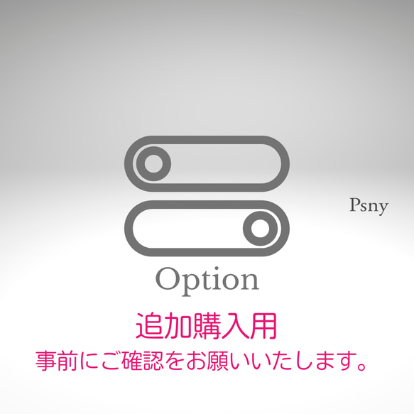 PSNY OPTION　追加購入用