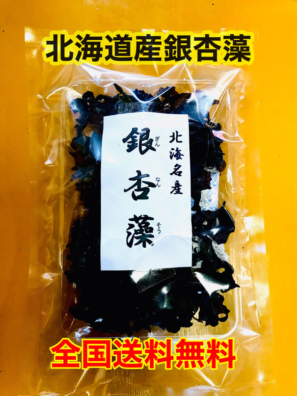 【送料無料】銀杏藻（ぎんなんそう）北海道産　1袋30g