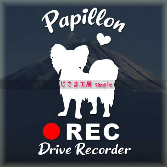 わんちゃんの可愛いドラレコステッカー!!『DRIVE　RECORDER』