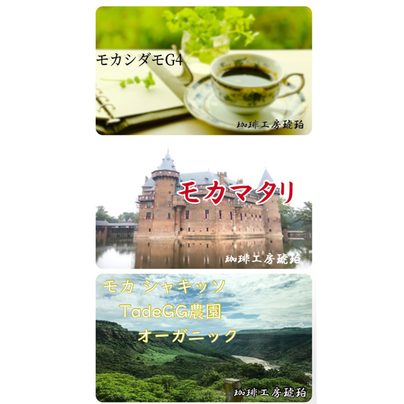 【モカ】飲み比べセット　自家焙煎コーヒー豆3種(100g×3個)