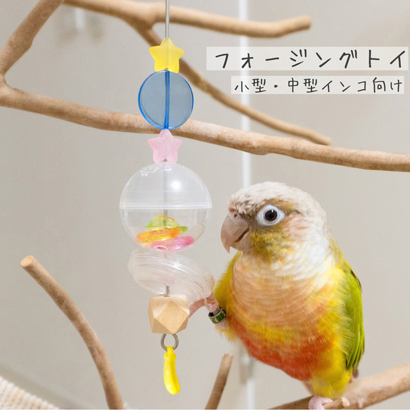 【鳥のおもちゃ〈小型・中型インコ向け〉】カラフルおやつカプセルのフォージングトイ〈お星さま〉