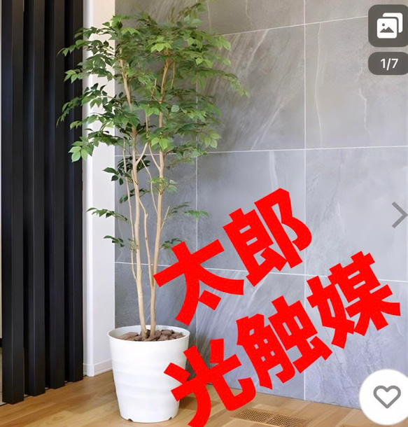 光触媒　人工観葉植物　フェイクグリーン　マウンテンアッシュ1.8m