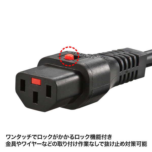 サンワサプライ 抜け防止ロック電源コード（5m） APW12-515C13LK05 1本