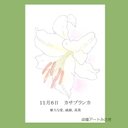 11月06日誕生花カード（花言葉つき）点描画