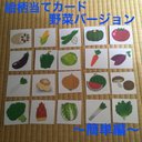 【再販】絵柄当てカード☆野菜バージョン 〜簡単編〜