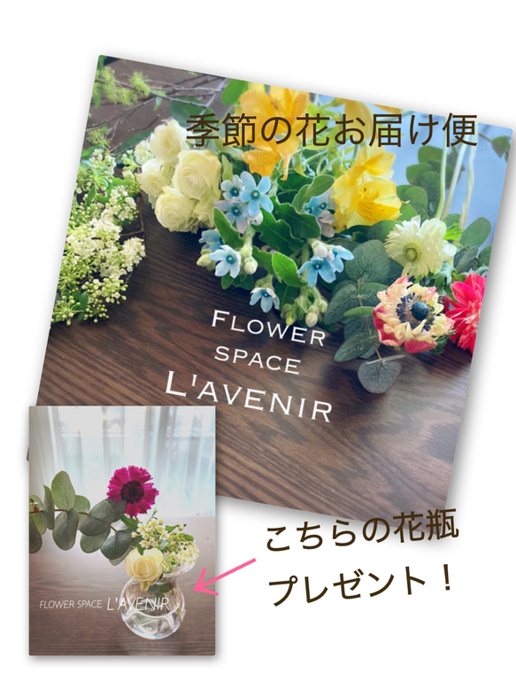 【再販】幸せなお花便(生花)3回分・3500円コース