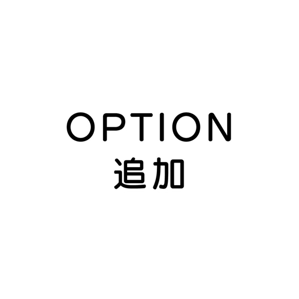 購入後OPTION追加・変更