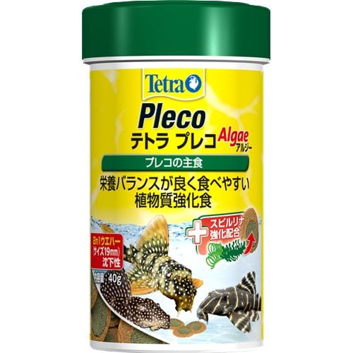 スペクトラム ブランズ ジャパンテトラ プレコ４０ｇ