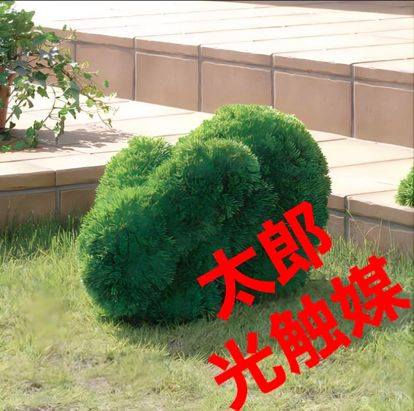 光触媒　人工観葉植物　ウォールグリーン　フェイクグリーン　ウサギs （ポリ製）