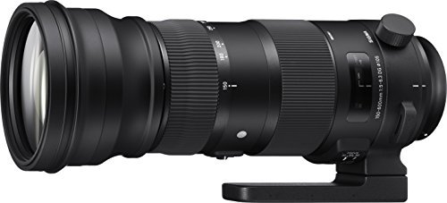 SIGMA 超望遠ズームレンズ Sports 150-600mm F5-6.3 DG OS HSM キヤノン用 フルサイズ対応 740542【中古品】