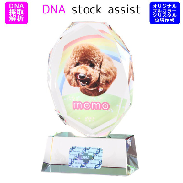 ペット 位牌 クリスタル 【DNA stock assist】虹のかけ橋 ホログラム入り 【 大切なあの子のDNAを保存