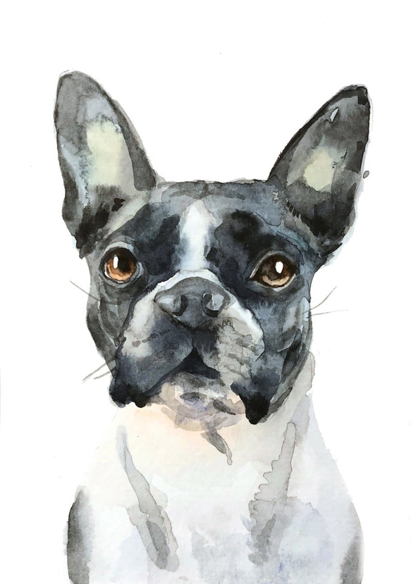 Custom pet dog Portrait - watercolour - bespoke gift - dog