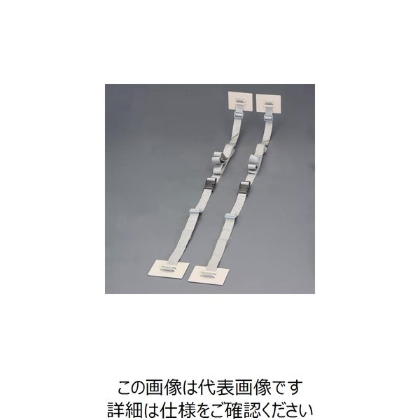 エスコ 90x70mm 転倒防止プレート(ラック用/バックル付/2個 EA979D-177 1セット(4個:2個×2パック)（直送品）