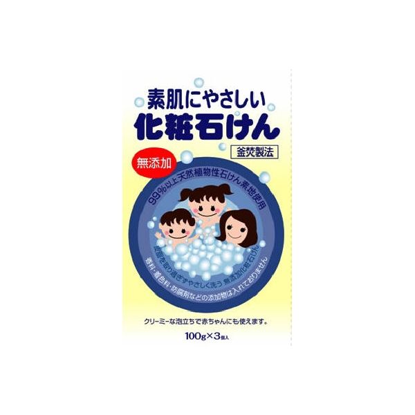 澁谷油脂 素肌にやさしい化粧せっけん100g 4974297222017 3個パック×36点セット（直送品）