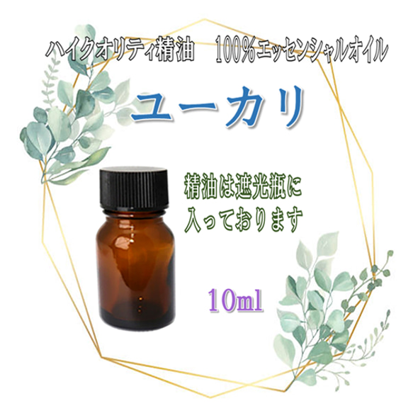 【セール】高品質精油・100％ピュアエッセンシャルオイル「ユーカリ」10ml　サロンご用達の精油