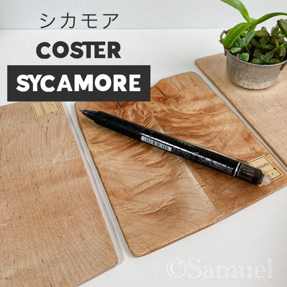 ◩きのかたち「色とりどりの不揃いコースター：Sycamore」M│インテリア 花台 飾り台 coaster C202