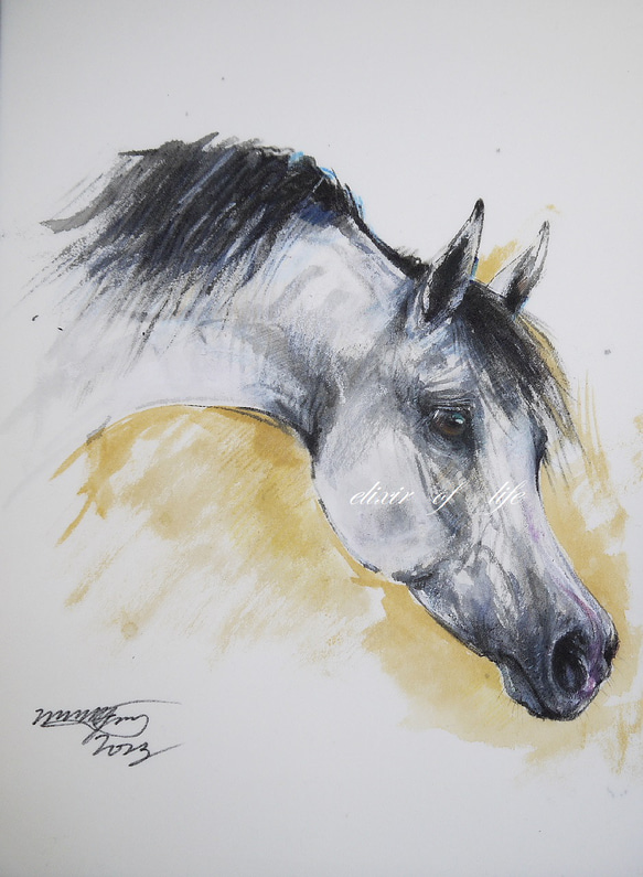 Arabian Horse 2023,Ⅱ（墨絵、厚い和紙３１，５ｃｍ×２３，４ｃｍ、墨、パステル、アクリル）