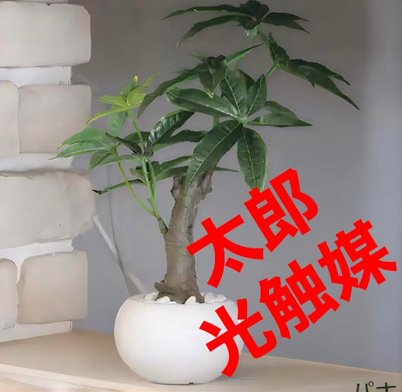 光触媒　人工観葉植物　ウォールグリーン　フェイクグリーン　パキラポット高さ27