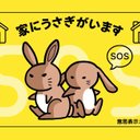 【うさぎさん専用意思表示カード】