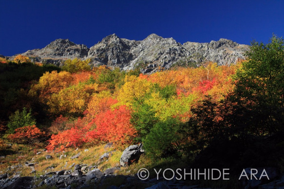 【額装写真】朝陽に輝く紅葉と奥穂高岳