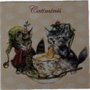 【 セブリーヌ ☆ マグネット 】 Catiminis 帽子 パン カップ 猫 ネコ キャット 磁石 Chats enchantes 94002MG