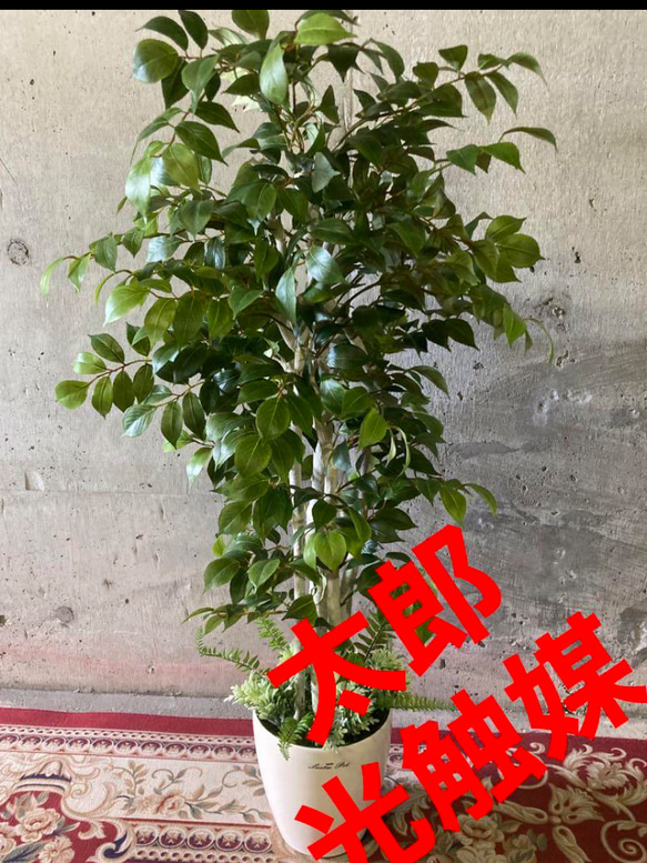 光触媒　人工観葉植物　ウォールグリーン　フェイクグリーン　マウンテンアッシュpt