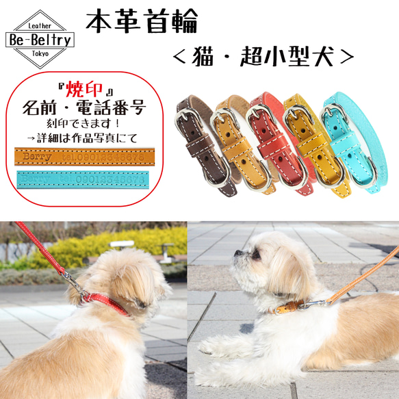 【送料無料】本革首輪〈猫・超小型犬〉レザー 幅１２ｍｍ 長さ～２４cm 青 黄 赤 キャメル チョコ 迷子 刻印 名入れ