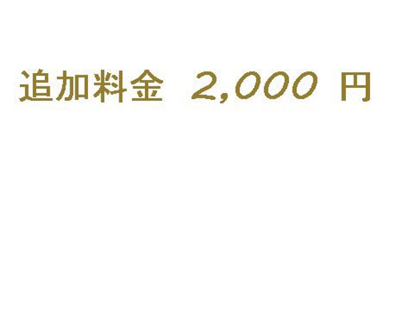 オーダー追加料金 2,000 円