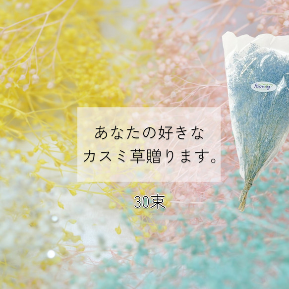 大地農園 「あなたの好きなカスミ草30束分贈ります」 プリザーブドフラワー 詰め合わせ kasumi カスミ草 花材