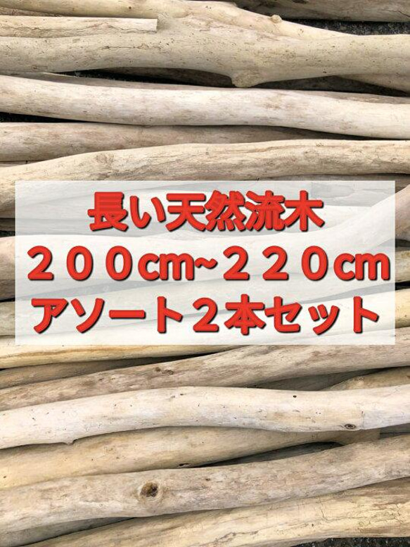 送料無料●（２００cm〜２２０cm前後）南信州産 枝幹 長い流木 天然流木 格安アソート ２本セット