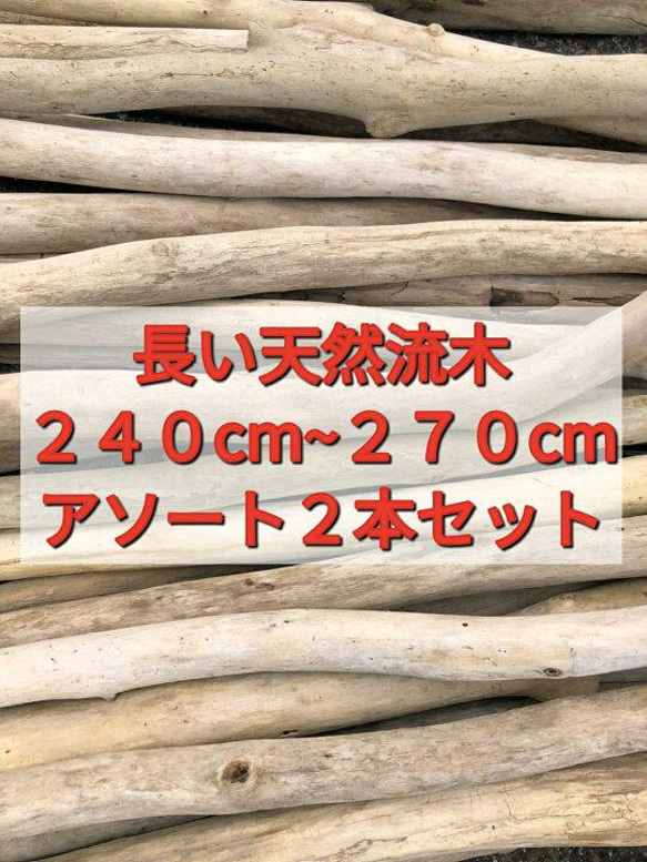 送料無料●（２４０cm〜２７０cm前後）南信州産 枝幹 長い流木 天然流木 格安アソート ２本セット