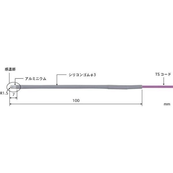 1600E-TS1-ASP（直送品）