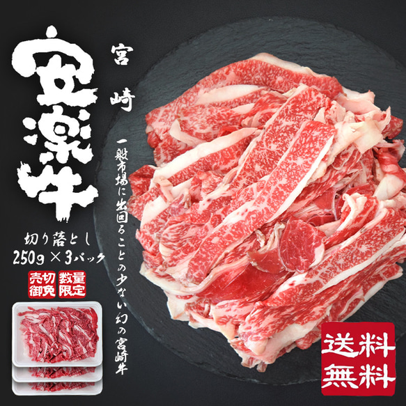 [安楽牛/宮崎牛] 牛切り落とし250g×3パック [750g] 関東より西の地域送料無料