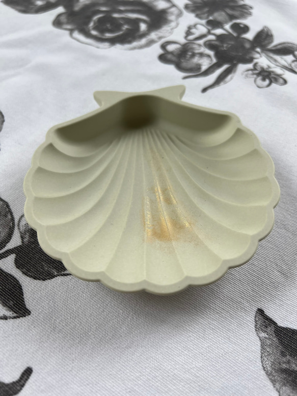 seashell　tray　GR