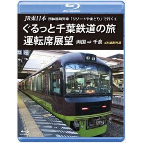 【BLU-R】JR東日本 団体臨時列車「リゾートやまどり」で行く(1)ぐるっと千葉鉄道の旅 運転席展望